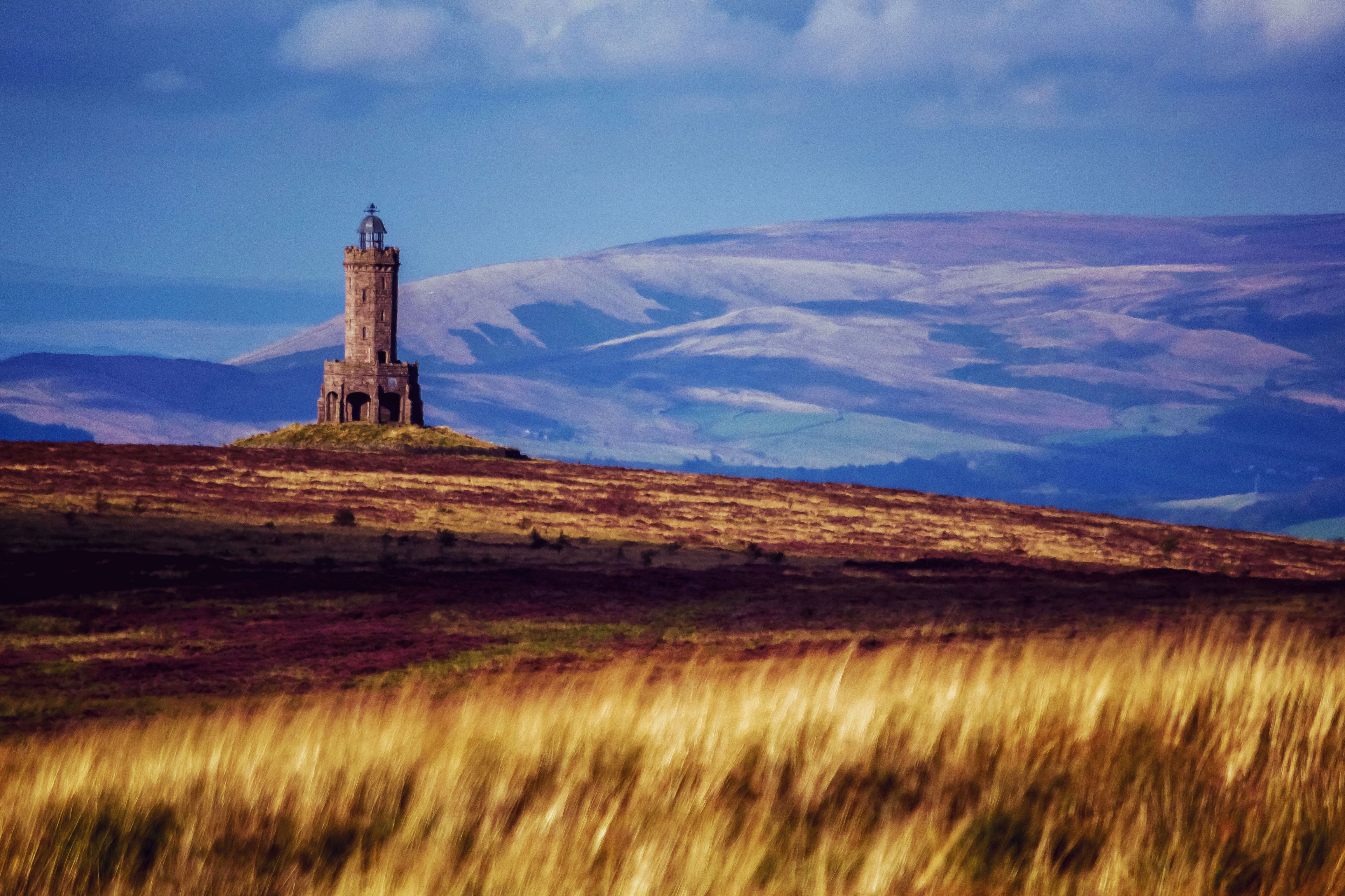 View of the Tower over moorland
